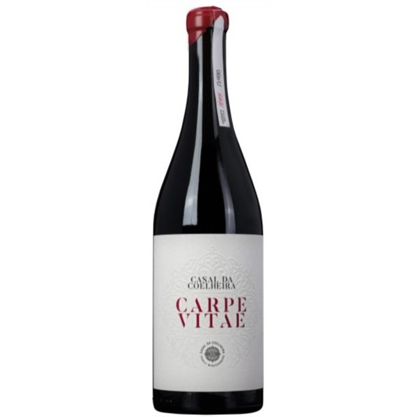 Carpe Vitae 2019 Carpe Vitae 2019