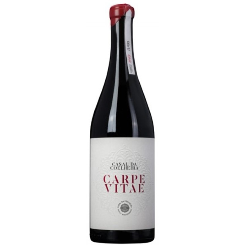 Carpe Vitae 2019